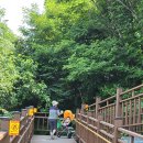 공설운동장길(공설운동장) 이미지