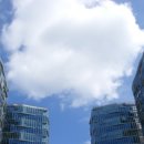 팔레드시즈 이미지