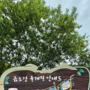 올레쭈꾸미 이미지