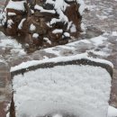 돌산가축 이미지