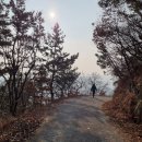 호랑산 둘레길 이미지