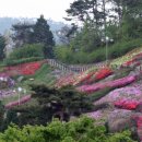 숲쟁이꽃동산 이미지