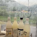 빙계군립공원 피크닉장 화장실 | 작천정 달빛야영장 울산 언양 우중캠핑 신불산군립야영장