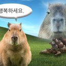 돼지야 - 강동구 상암로47길 85 | 돼지야