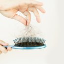 인류의 불치병 ‘탈모’에 대한 새로운 도전 이미지