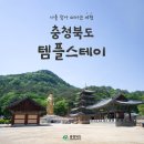 월탄 | 고즈넉한 분위기 속에서 나를 찾아 떠나는 여행, 충청북도 템플스테이: 구인사, 법주사, 영국사, 용화사...