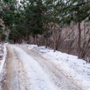 편백숲관광안내소 이미지