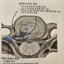 우만동 509-14 ~ 우만동 518 | [책] 백년목 2 (치료편: 내 목 사용설명서)