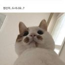 산타크로스핏 네이버블로그