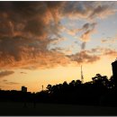 소망빌딩 이미지