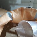 미류네 농장 이미지