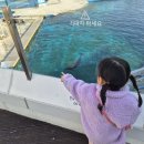 벨루가 네이버블로그