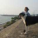 한국소리터 이미지