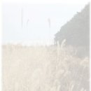 강남스크린 이미지