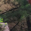 최우식노즈립성형외과의원 이미지