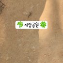 새암공원 이미지