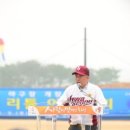 향남 야구장 야구장 이미지