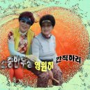 몽드림 이미지