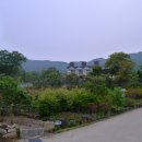 감나무골 식당 민박 이미지