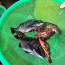 월전수산 이미지