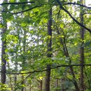 음지마을 이미지