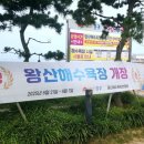 왕산해수욕장 | 서울 근교 아이와 갯벌체험 추천 왕산해수욕장 후기 및 팁