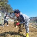 민희네농장 이미지