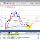 지지투어주