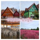 동화파크모텔 | 경기도 인근 아이랑 가기 좋은 한국의 알프스 안성팜랜드 입장권 저렴하게 구매하는 방법