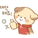신박한보물창고 이미지