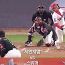 KBO인스타에 댓글 단 기아타이거즈 외국인 투수 이미지