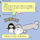 대전필라테스 선화동필라테스 라니스튜디오 2025년 후기 및 이모저모 ✍🏼💕