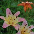 충주카리타스노인요양원 | 청주요양원 청주카리타스노인요양원 신뢰받는 돌봄 서비스