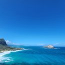 주정차72 이미지