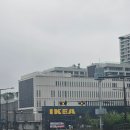 대서플랜트 | 강동 이케아 방문 후기!!!