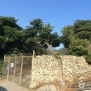 나절로미술관 이미지