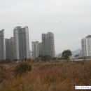 월평공원 습지길 이미지