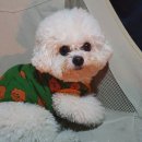 바스인더썬 이미지