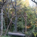 가을의 온새미로 이미지