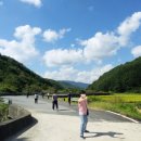 김삿갓 문학동산 시 이미지