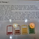 리피부관리실(알포유에너지테라피)