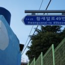 황새알로 네이버블로그