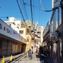 어등 어린이공원 | [Tour] #52.마이리얼트립 어린이 도슨트 후기1/2 - #14.일본국립과학박물관/7개월만에 다시 찾아주신 가족