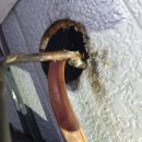 푸주옥노형점 이미지