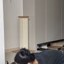 호비까비 네이버블로그