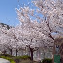 부계중학교 이미지