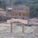 약초농원민박 Daum카페