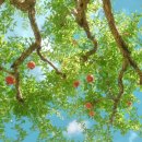 구름한점 이미지