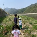 도천강민박 이미지