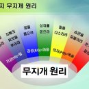 사케427